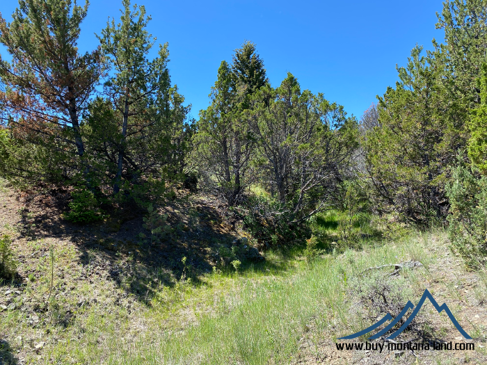 Land For Sale In Montana – Wax Wing Property – Buy Montana Land