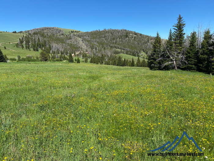 acreage for sale, acreage for sale by owner, acreage for sale in montana, acreage in montana, buy land, buy land in montana, buy land montana, buy montana land, cheap land, cheap land for sale, cheap land for sale in montana, cheap land montana, cheap montana land, cheap off grid land, cheap off grid land for sale, for sale by owner, forsalebyowner, forsalebyowner montana, fsbo, fsbo montana, fsbo real estate, horse property for sale, horse property for sale in montana, hunting land for sale by owner, hunting land for sale in montana, hunting property for sale, hunting property for sale in montana, land for sale by owner, land for sale in Montana, land for sale Montana, land in Montana, lands for sale, landwatch, landwatch montana, montana acreages for sale, montana hunting land for sale, montana land, montana land for sale, montana land for sale by owner, montana mountain land for sale, montana property, Montana property for sale, montana real estate, mountain land for sale, mountain land for sale in montana, mountain properties for sale, mountain property for sale, mountain real estate, off grid land, off grid land for sale, off grid property for sale, off grid real estate, off the grid, property, property for sale by owner, property for sale by owner in montana, property for sale in Montana, property for sale montana, property in Montana, remote properties, remote property for sale, western montana land for sale