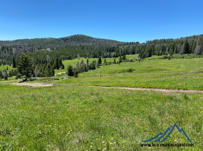 acreage for sale, acreage for sale by owner, acreage for sale in montana, acreage in montana, buy land, buy land in montana, buy land montana, buy montana land, cheap land, cheap land for sale, cheap land for sale in montana, cheap land montana, cheap montana land, cheap off grid land, cheap off grid land for sale, for sale by owner, forsalebyowner, forsalebyowner montana, fsbo, fsbo montana, fsbo real estate, horse property for sale, horse property for sale in montana, hunting land for sale by owner, hunting land for sale in montana, hunting property for sale, hunting property for sale in montana, land for sale by owner, land for sale in Montana, land for sale Montana, land in Montana, lands for sale, landwatch, landwatch montana, montana acreages for sale, montana hunting land for sale, montana land, montana land for sale, montana land for sale by owner, montana mountain land for sale, montana property, Montana property for sale, montana real estate, mountain land for sale, mountain land for sale in montana, mountain properties for sale, mountain property for sale, mountain real estate, off grid land, off grid land for sale, off grid property for sale, off grid real estate, off the grid, property, property for sale by owner, property for sale by owner in montana, property for sale in Montana, property for sale montana, property in Montana, remote properties, remote property for sale, western montana land for sale